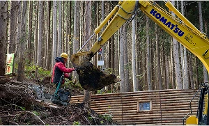 職人の一日の写真